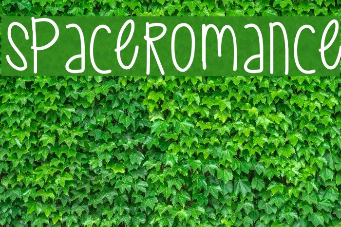SpaceRomance Font examples