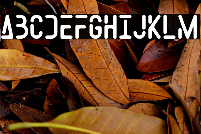 SpaceWeelPersonalUse Example 2