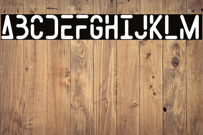 SpaceWeelPersonalUse Example 3