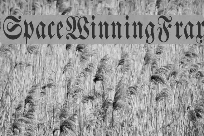SpaceWinningFrax Font examples