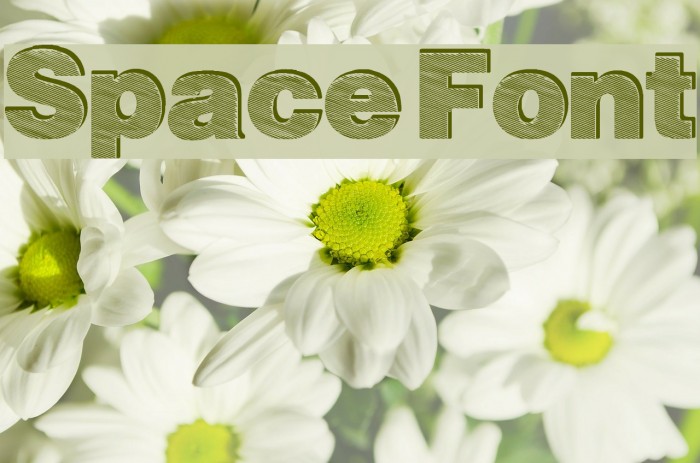 Space Font examples