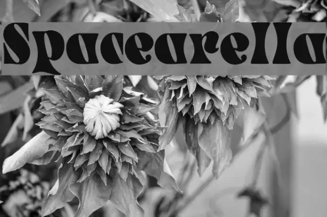 Spacearella Font examples