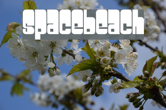 Spacebeach Font examples