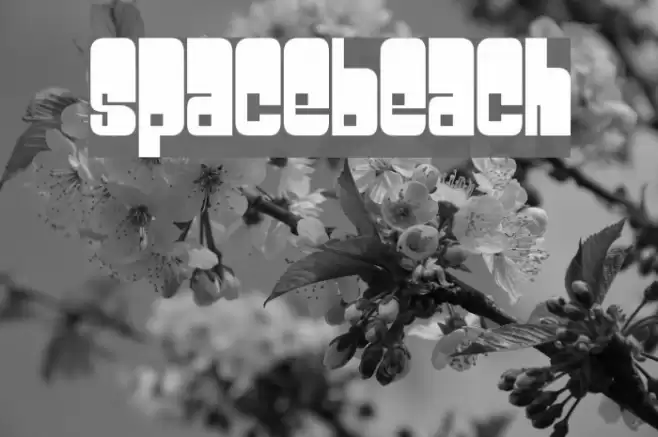 Spacebeach خط examples