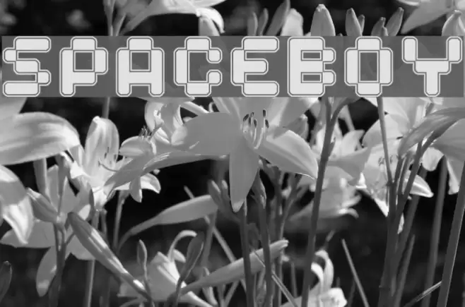 Spaceboy Font examples