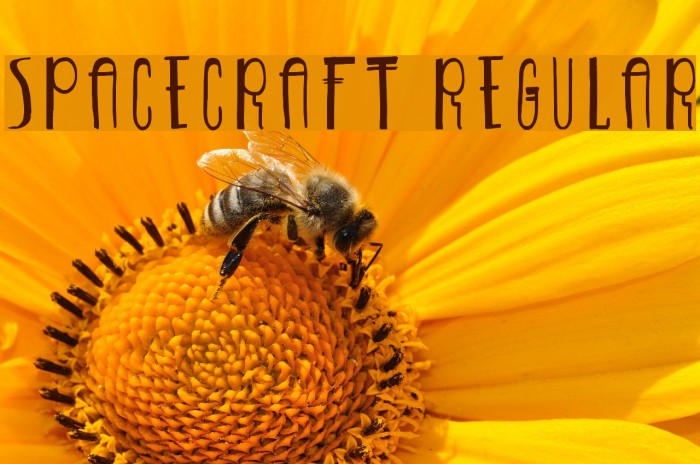 Spacecraft-Regular Example 2