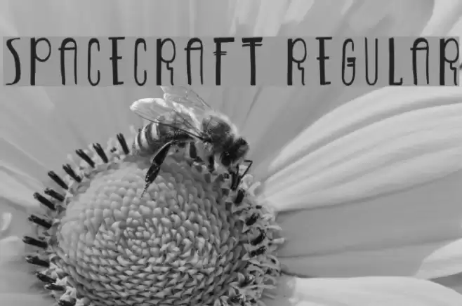 Spacecraft-Regular Font examples