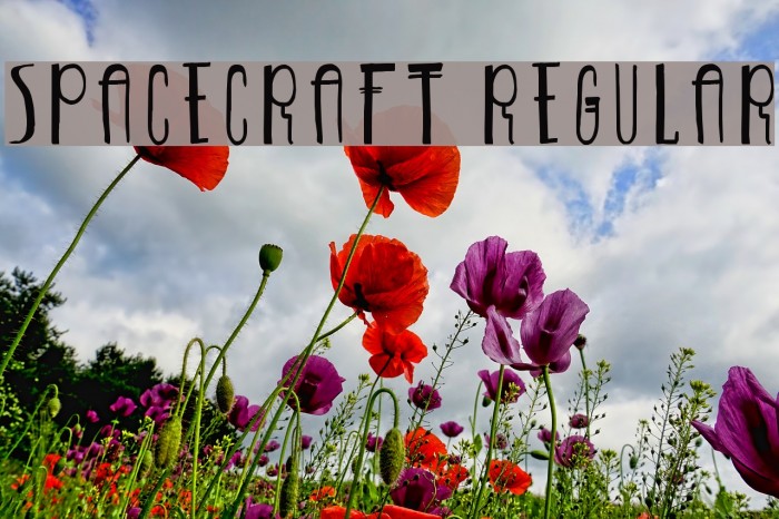 Spacecraft-Regular Example 3