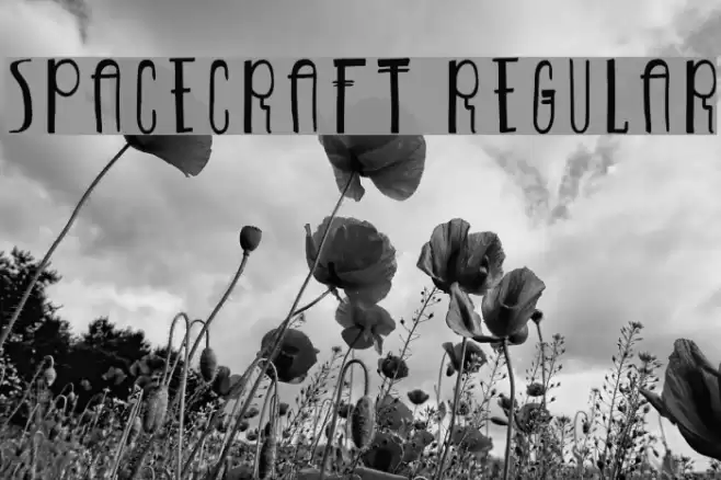 Spacecraft-Regular Font examples