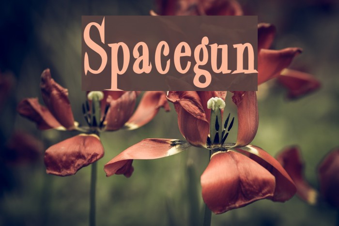 Spacegun Example 1