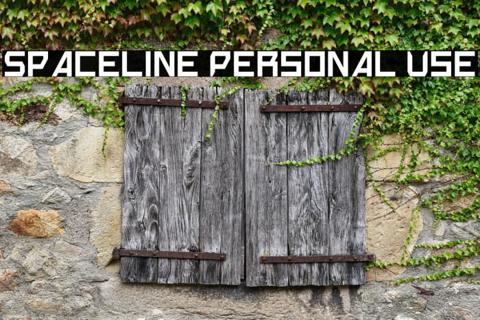 Spaceline Personal Use Example 2