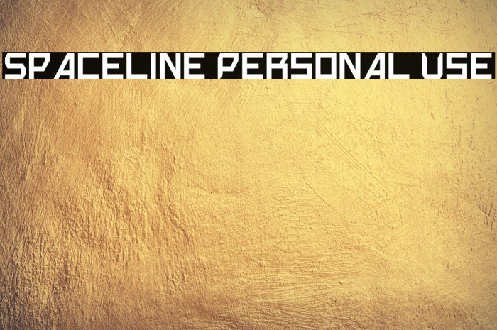 Spaceline Personal Use Example 3