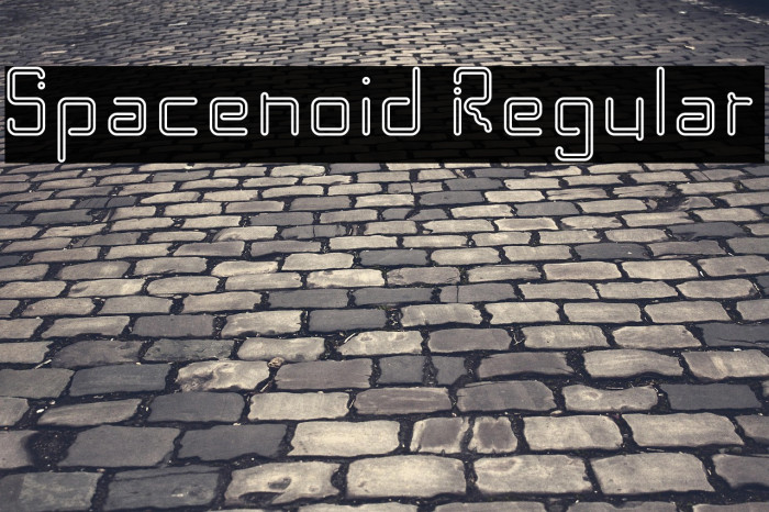 Spacenoid Regular Example 3