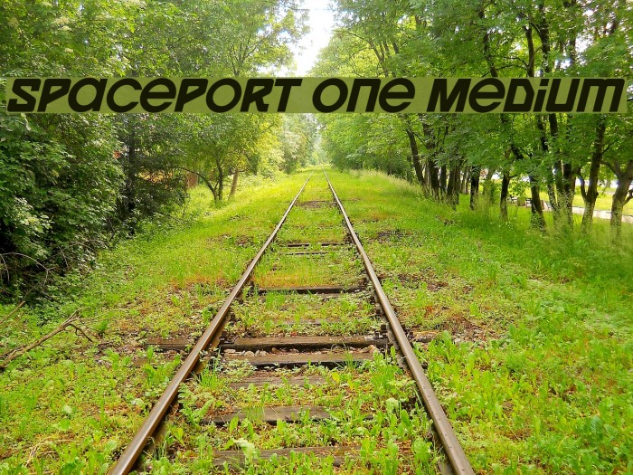 Spaceport One Medium Example 2