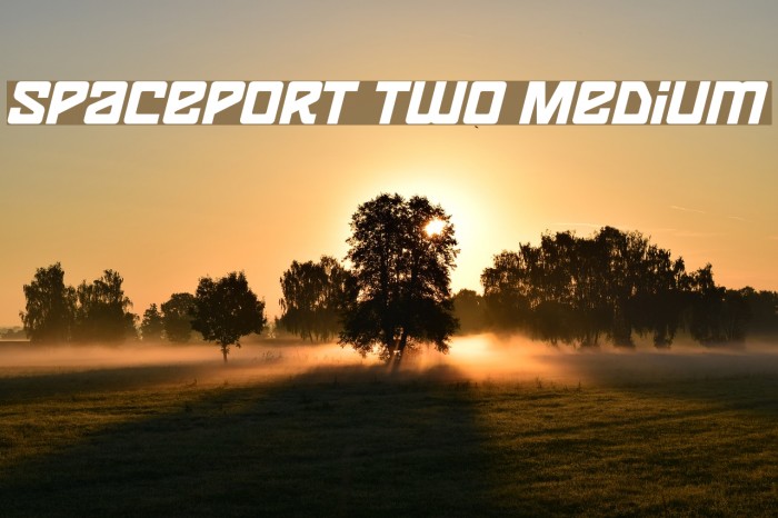 Spaceport two Medium Font examples
