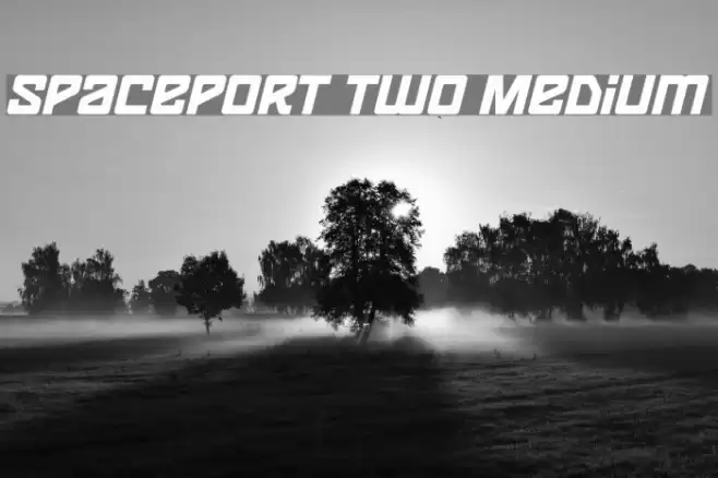 Spaceport two Medium Font examples