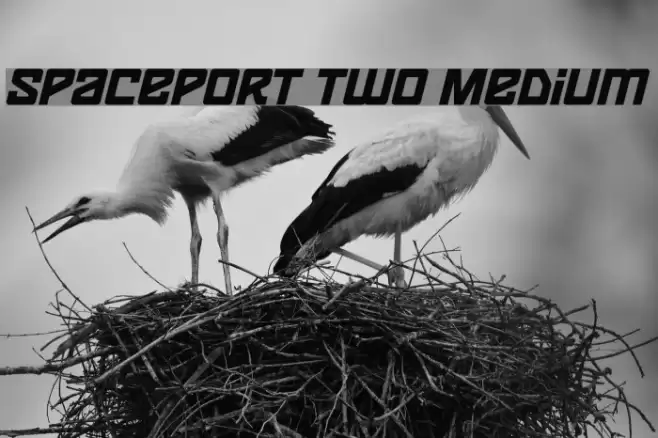 Spaceport two Medium Font examples
