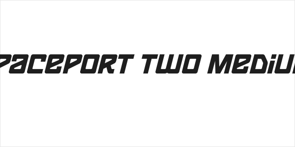 Spaceport two Medium Logo