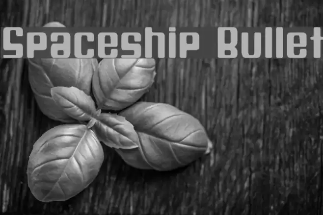 Spaceship Bullet Font examples