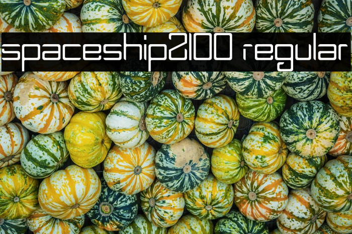 Spaceship2100 Regular Example 2