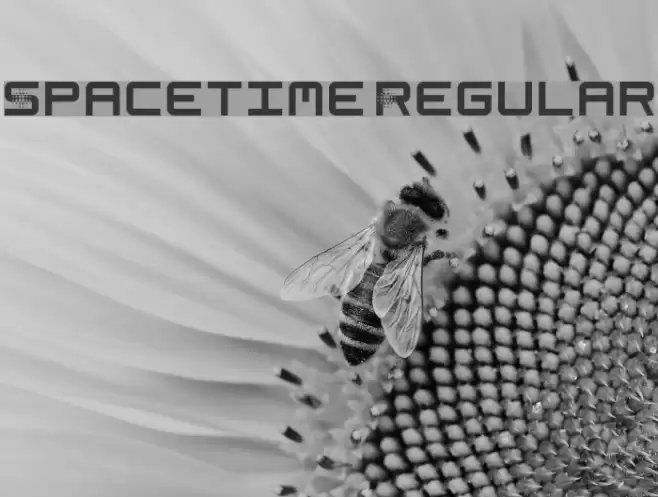 Spacetime Regular Font examples