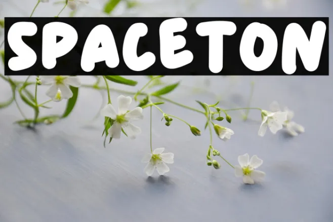 Spaceton Example 3