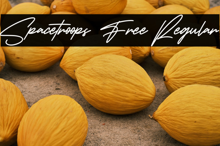 Spacetroops Free Regular Example 1