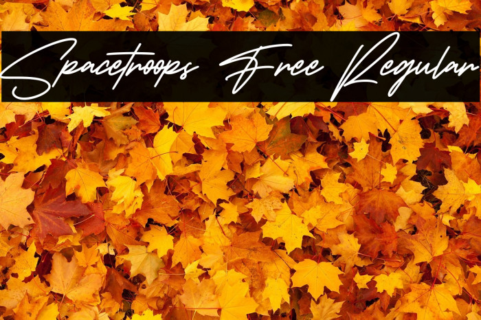 Spacetroops Free Regular Example 2
