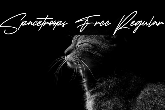 Spacetroops Free Regular Example 3