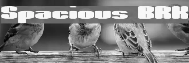 Spacious BRK Font examples