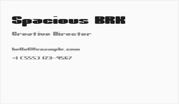Spacious BRK Business Card