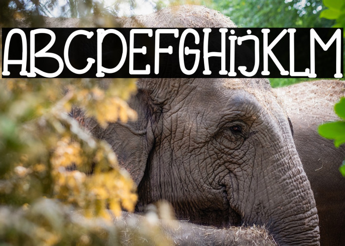 SpaciousFarmhouseRegular Example 3