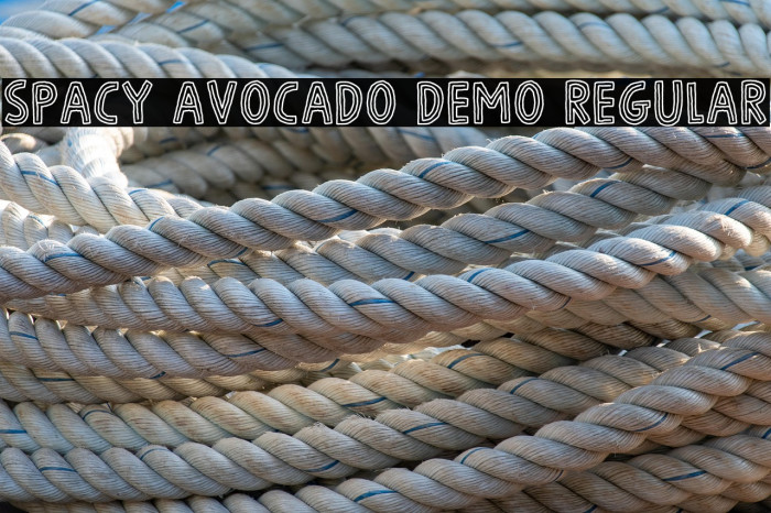 Spacy Avocado DEMO Regular Example 1