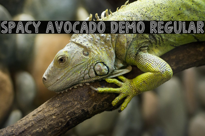 Spacy Avocado DEMO Regular Example 2