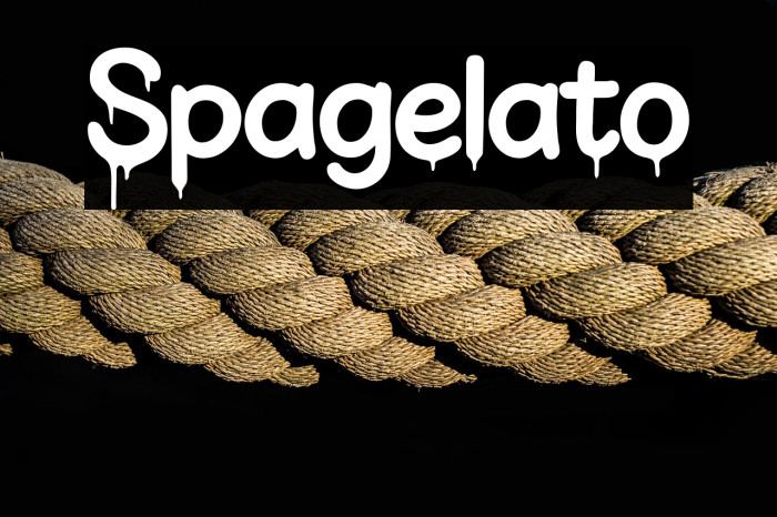Spagelato Example 2