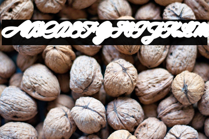 SpaghetiXtrudePersonalUse Example 2