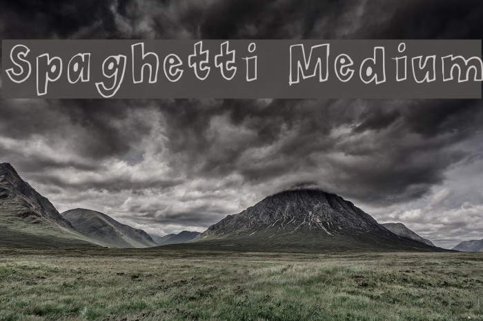 Spaghetti Medium Example 2