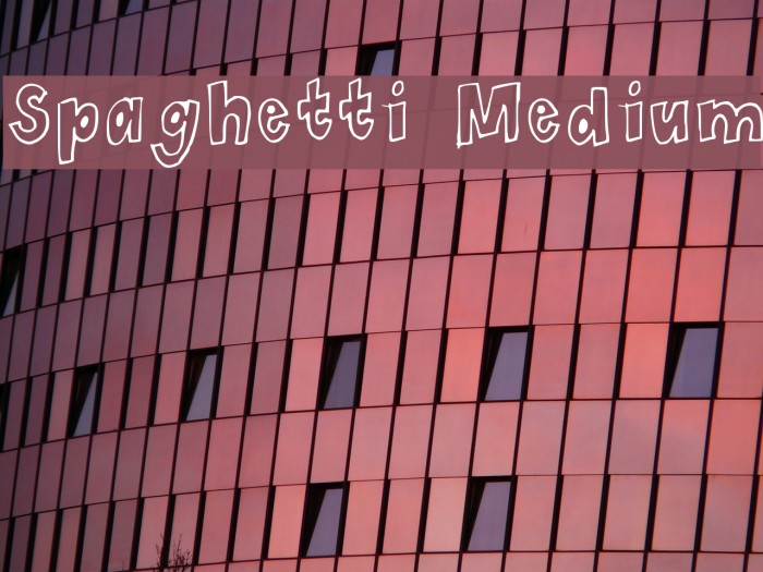 Spaghetti Medium Example 3