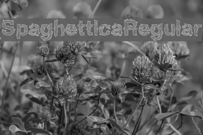 SpaghetticaRegular Font examples