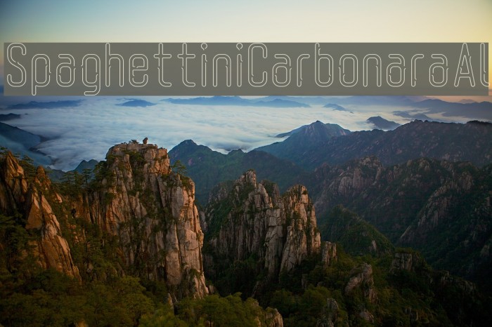 SpaghettiniCarbonaraAl Example 1