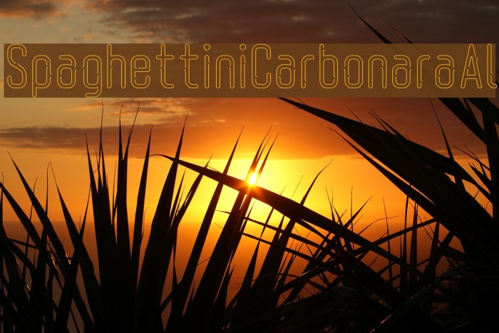 SpaghettiniCarbonaraAl Example 2