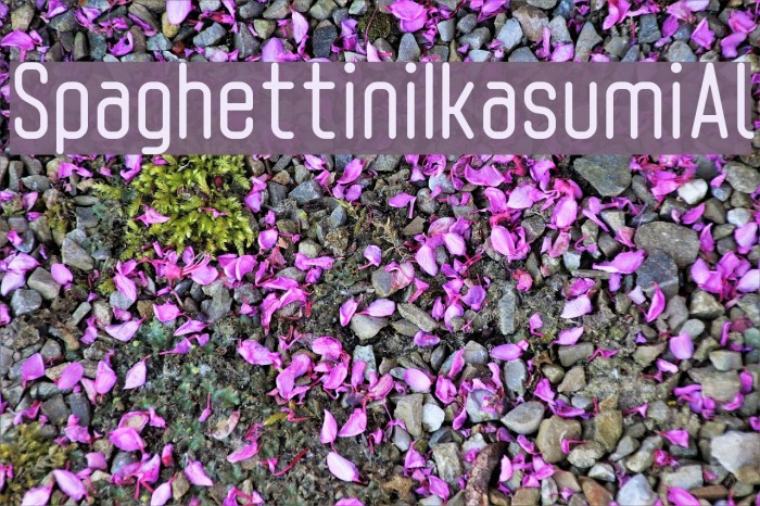 SpaghettiniIkasumiAl Example 2