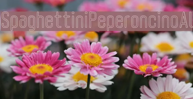 SpaghettiniPeperoncinoAl Example 3