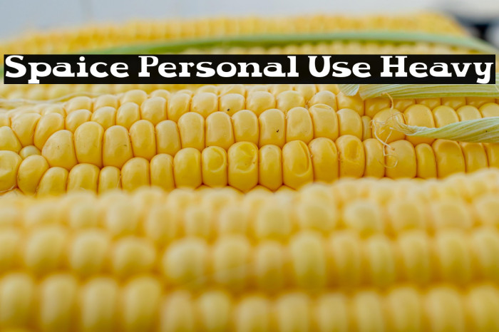 Spaice Personal Use Heavy Example 2