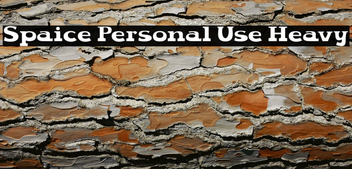 Spaice Personal Use Heavy Example 3