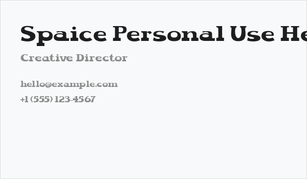 Spaice Personal Use Heavy Business Card