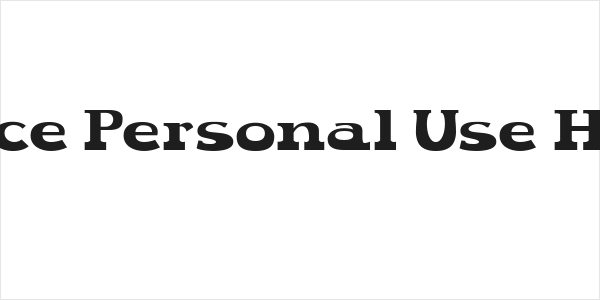 Spaice Personal Use Heavy Logo