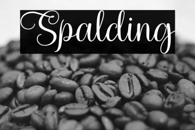 Spalding Font examples