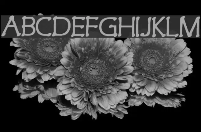 Spamapalooza Font examples