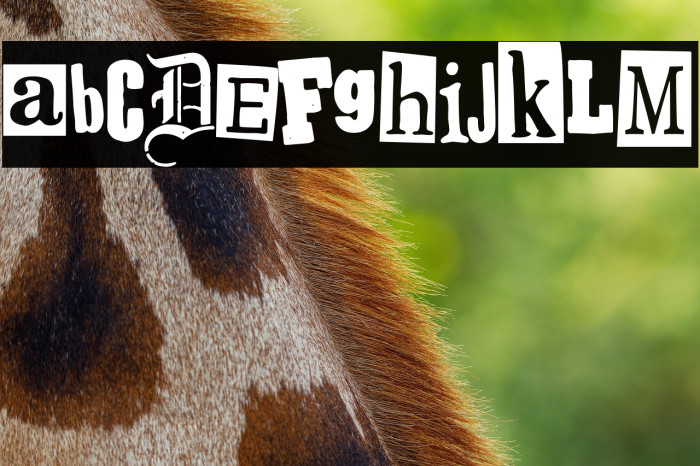 Spanish Faith Example 1